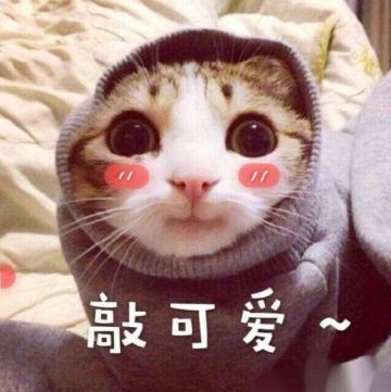 《三十六计》手游活动爆料春节期间能领什么奖？