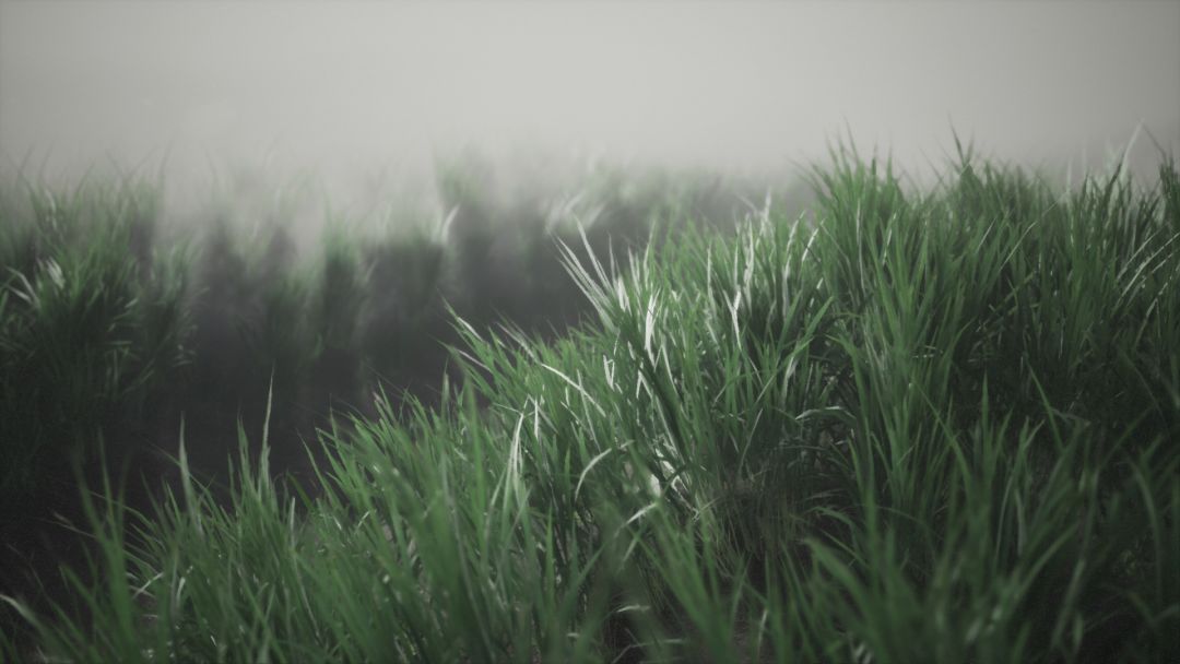 Mýrdalssandur, Iceland游戏截图