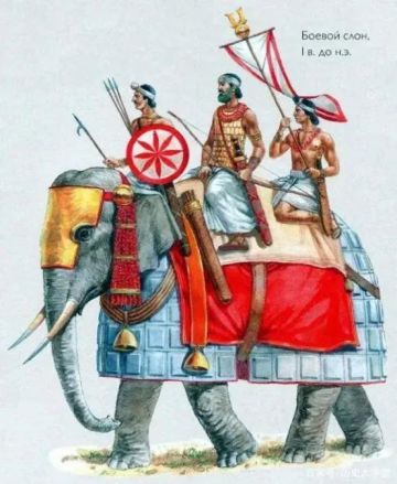 技能解析 | 高额输出势不可挡，人见人怕的战场猛兽——南亚战象