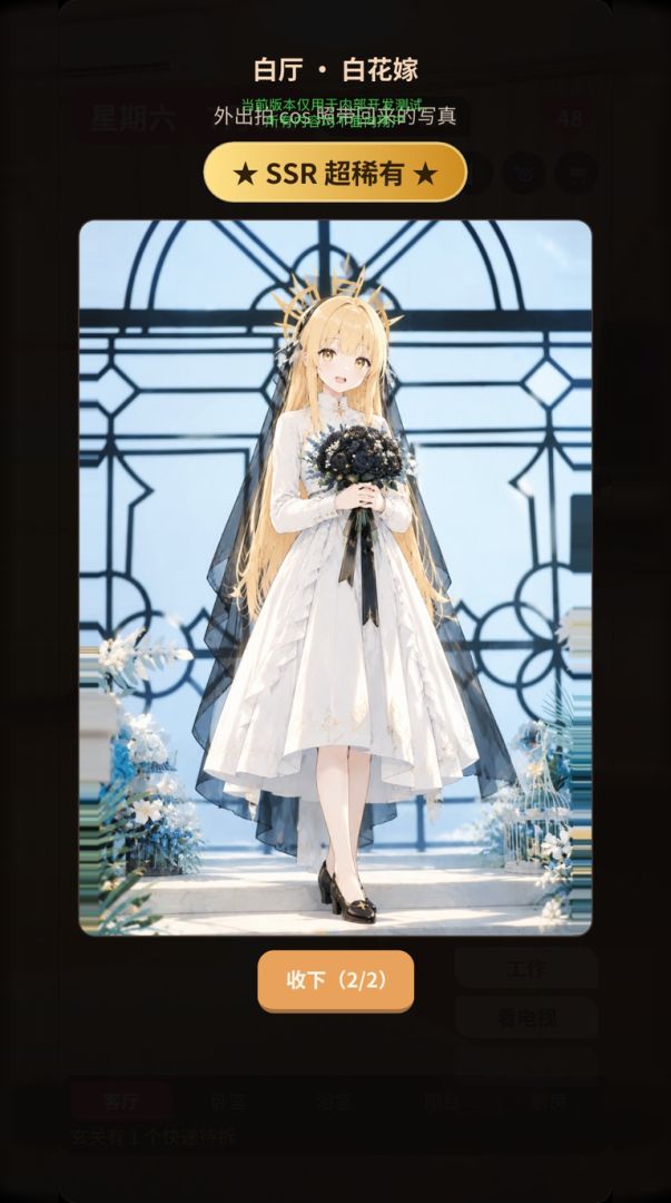 收集吧！Cosplay写真游戏截图