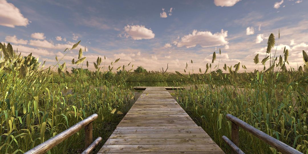 Fishing Planet游戏截图