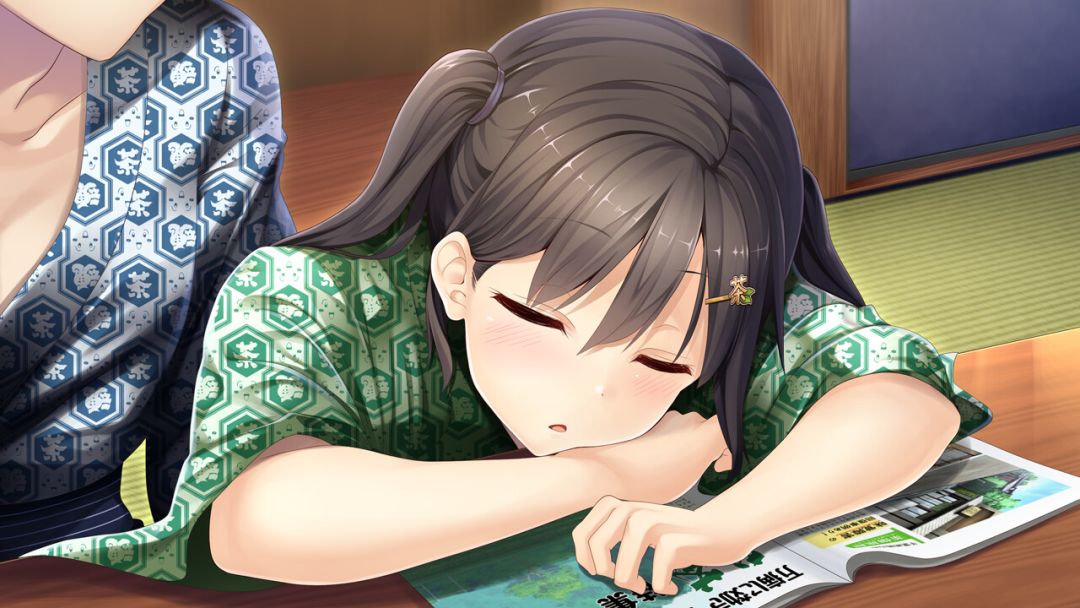 未来广播与人工鸽游戏截图