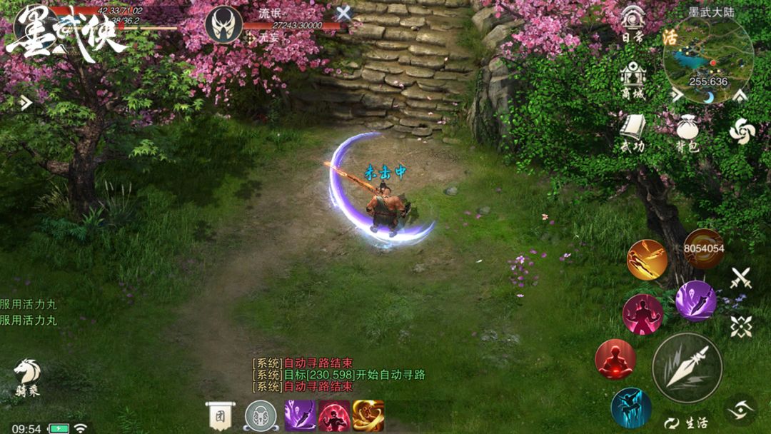 墨武侠游戏截图