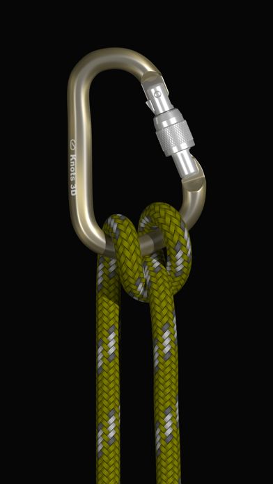 Knots 3D (3D绳结)游戏截图