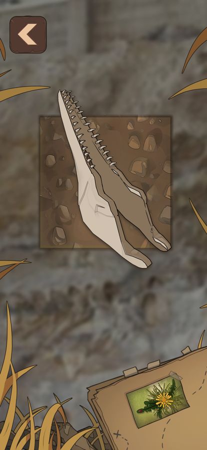Fossil Discovery Adventure游戏截图