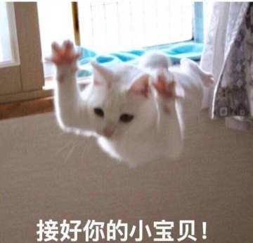 策划问答 | 手机模拟器有望分开，还有许多新功能在开发！