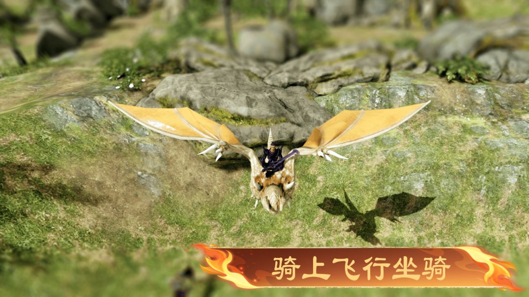 奇域传说游戏截图