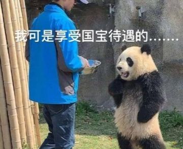 【福利来了】“单身狗”剑心请求参战