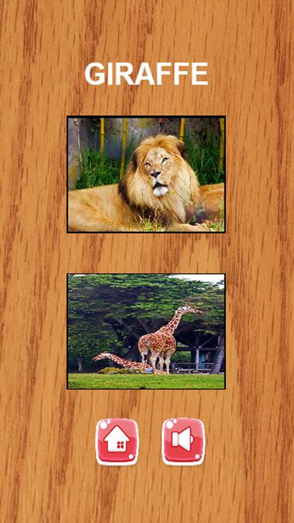 ENGLISH ANIMAL VOCABULARY AND MATCH GAME FOR KIDS游戏截图