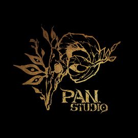 潘神工作室