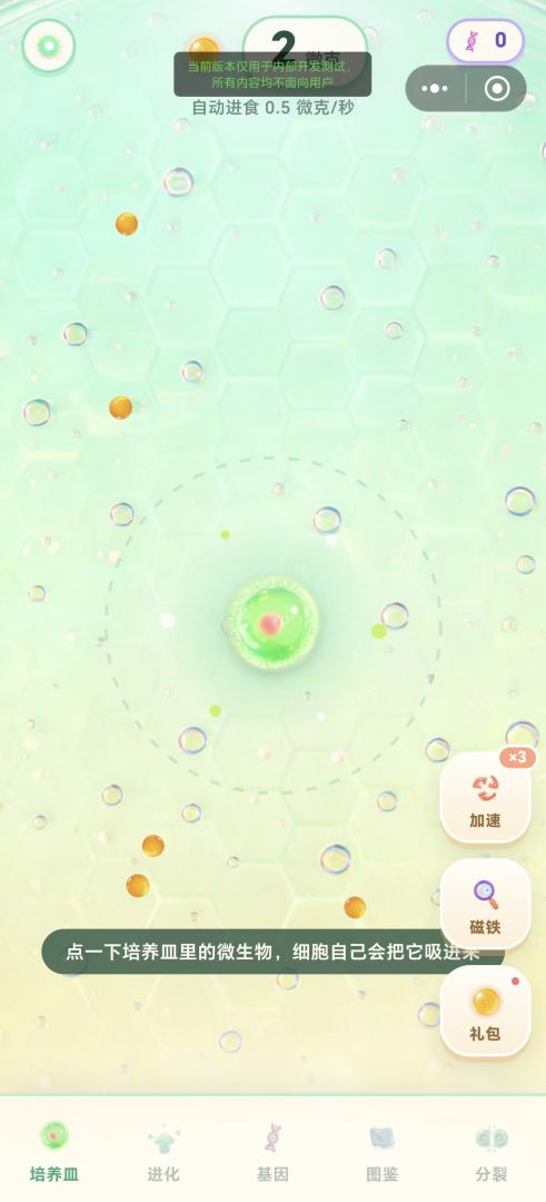 分裂吧!细胞游戏截图