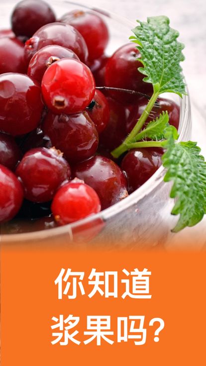 水果蔬菜浆果游戏截图