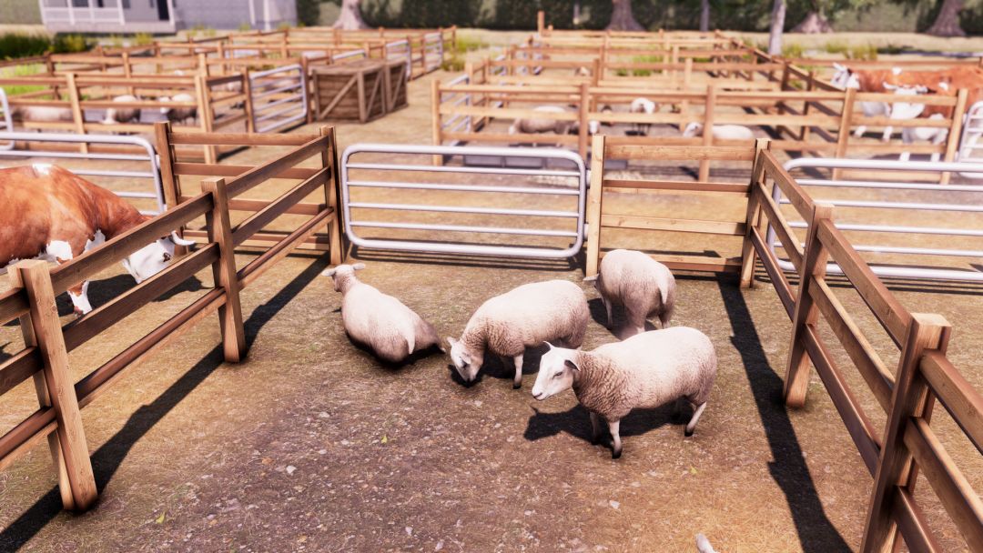 Real Farm游戏截图