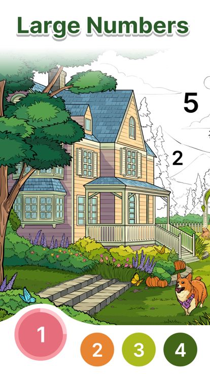 Anima Color for Seniors游戏截图