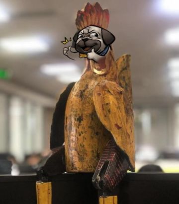 来自平行宇宙的召唤，和小黑妹一起流浪宇宙！