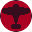 SAMOLIOTIKicon