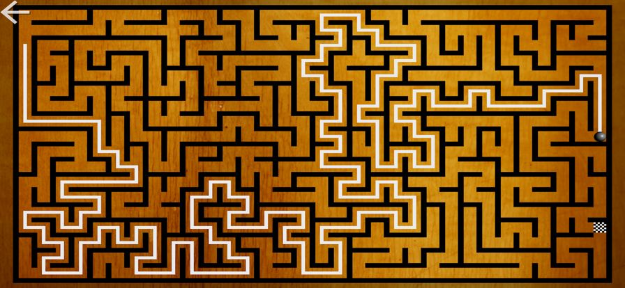 Mazes Family游戏截图