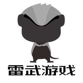 雷武游戏