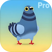 疯狂的鸽子:掌控节奏的鸽子会跳舞的鸽子