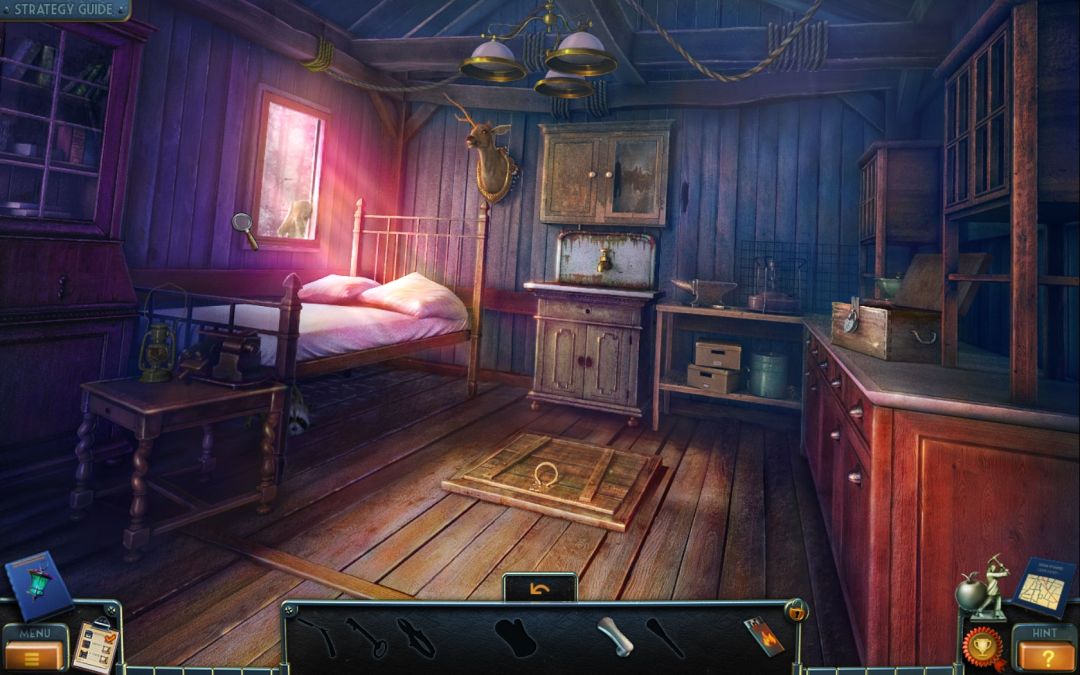 New York Mysteries: The Lantern of Souls Collector's Edition游戏截图
