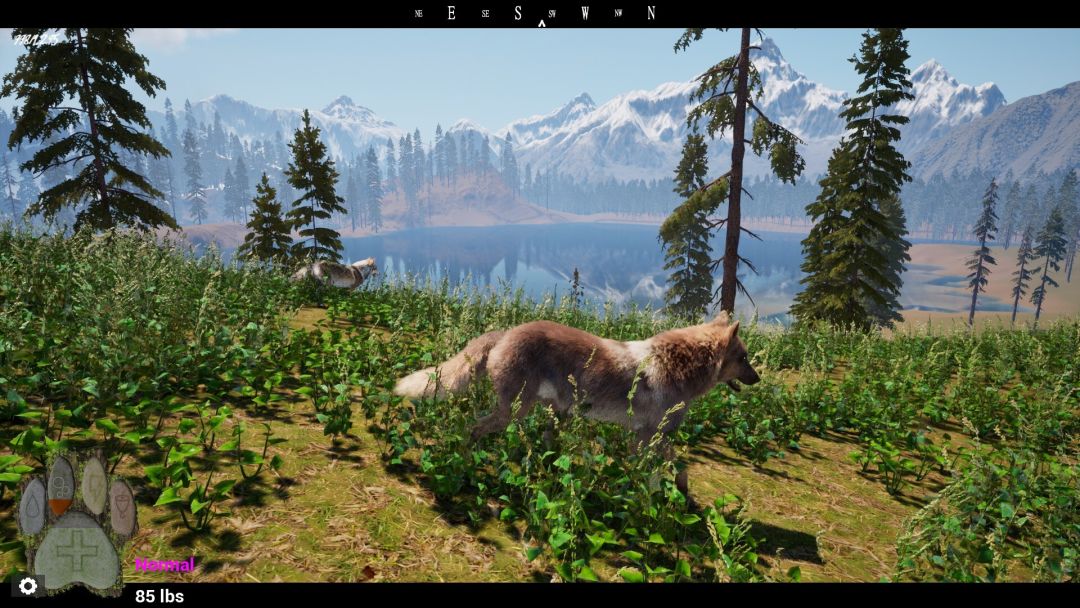 Untamed Kingdom游戏截图