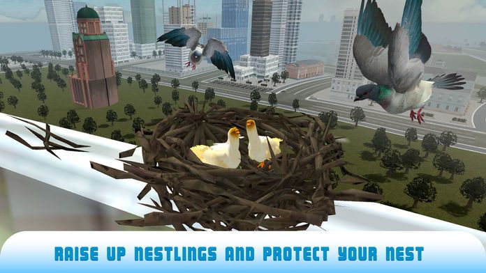 Pigeon Bird Survival Simulator 3D 2 Full游戏截图