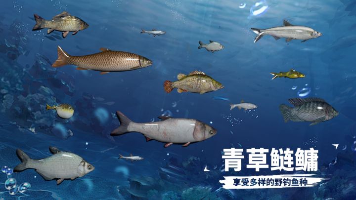 天天钓鱼（TapTap测试版）截图