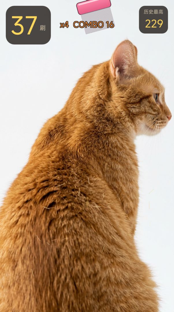 沉浸式刷猫毛游戏截图