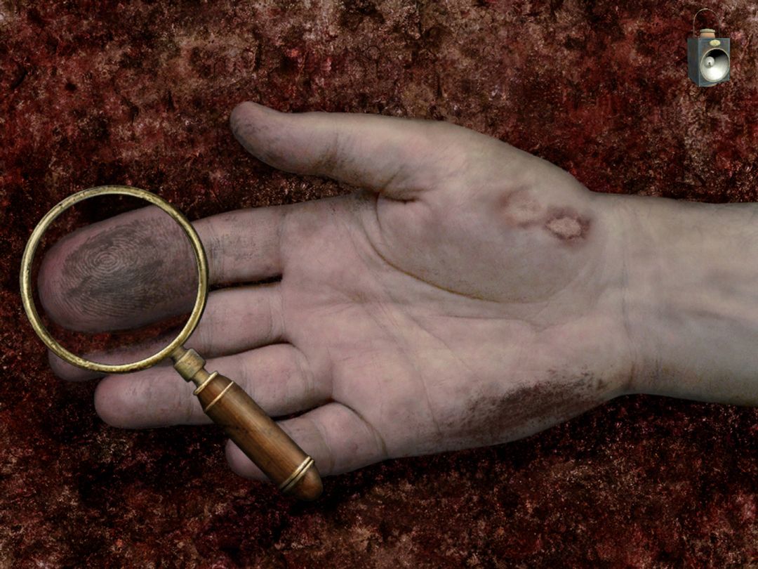 Sherlock Holmes: The Awakened (2008)游戏截图