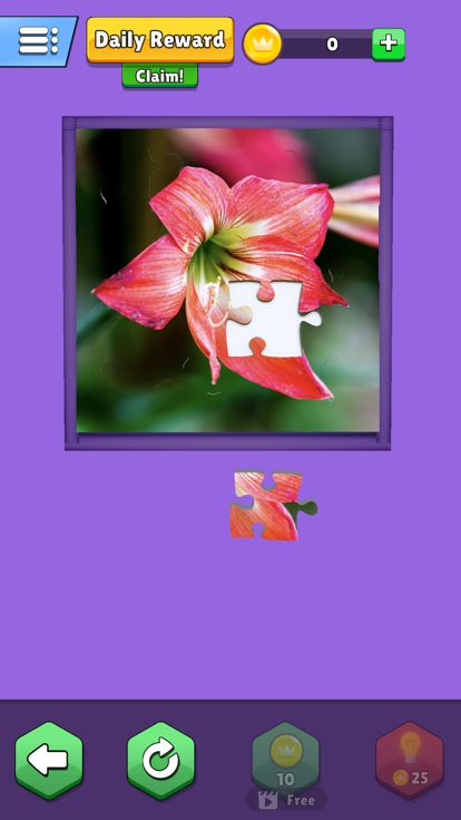 Jigsaw Fun 3D -HD PUZZLE GAMES游戏截图