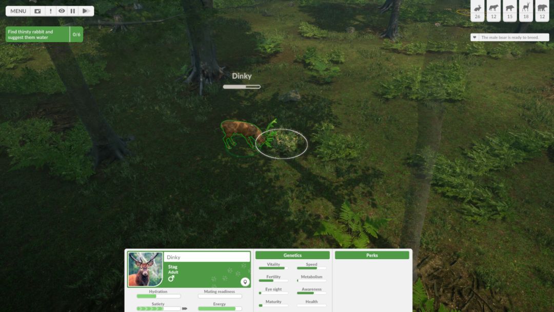 Natural Instincts: European Forest游戏截图
