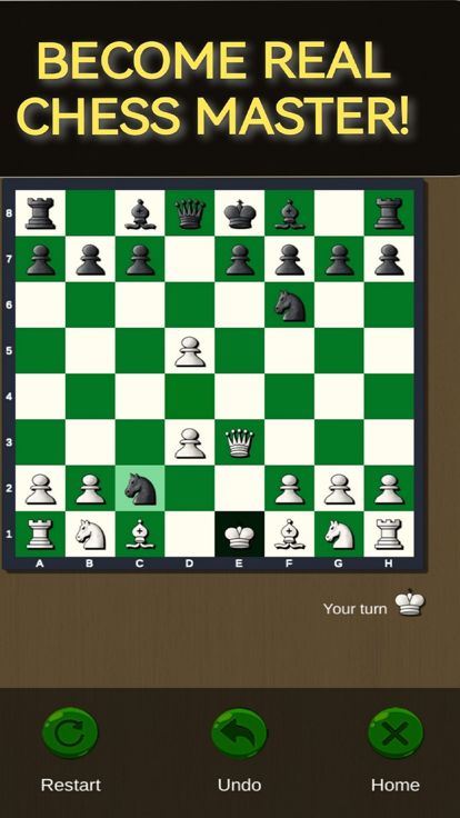 Chess Game: Masters of Mind游戏截图