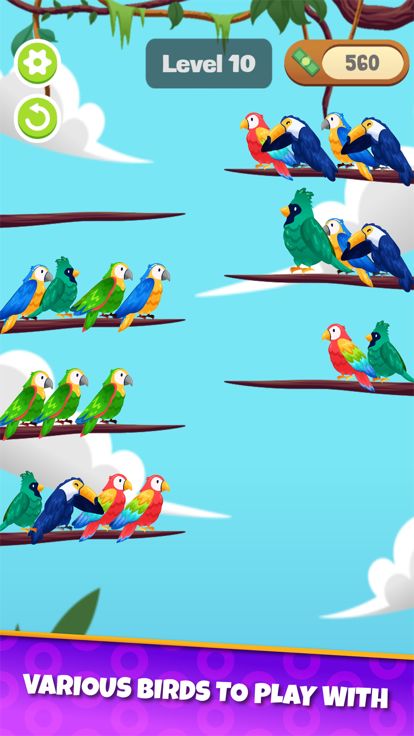 鸟类分类谜题:分类游戏游戏截图