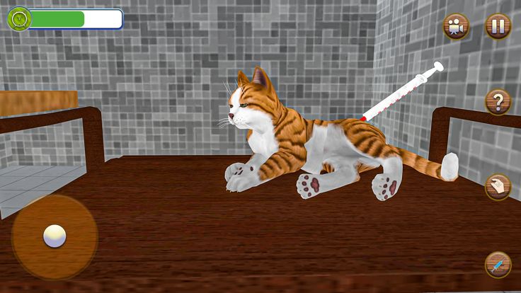 Animal Shelter Pet Cat Games游戏截图