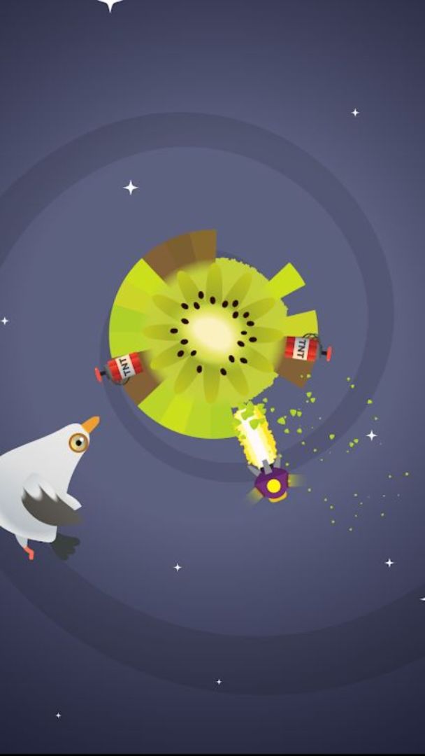 疯狂的鸽子游戏截图