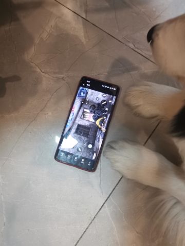 【使命小课堂】策划小姐姐带你成为四指大神