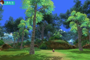 【看见小森】第二期——向导花音已就位，开启小森村の一日游