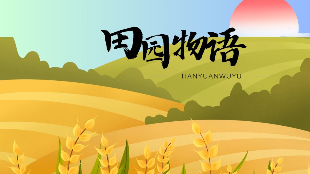 田园物语游戏截图