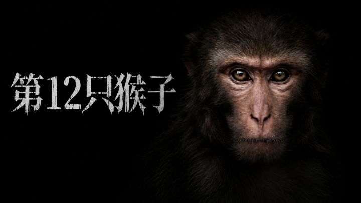 第12只猴子 封面