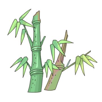 灵根图鉴-下（㊙）