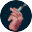 列宁街小摊icon