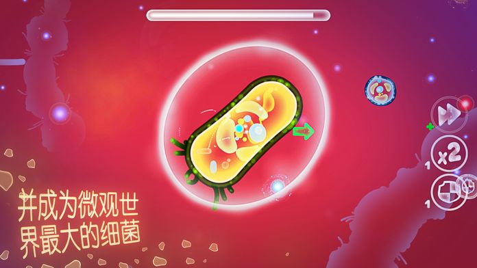 微观的世界---细菌生存游戏截图