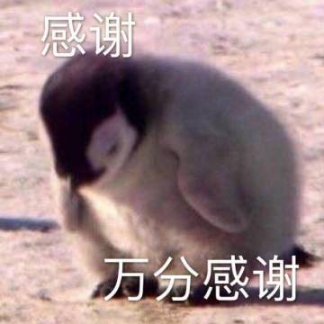 技术测试调研与测试QA：下一次见面 一定是更好的我们