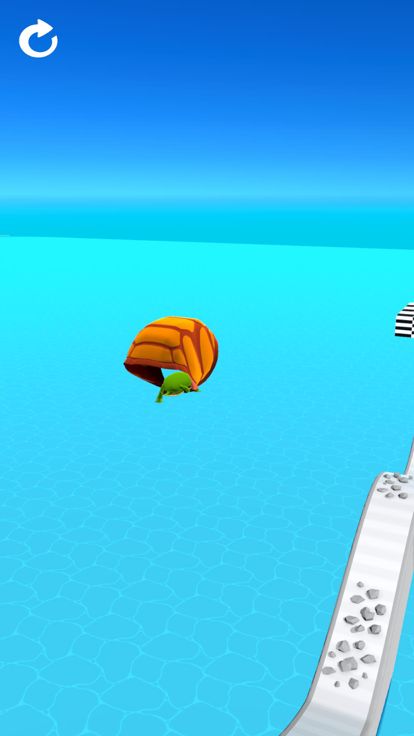 Turtle Race 3D游戏截图