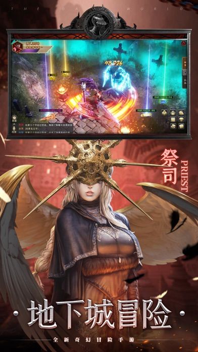 黑暗血缘游戏截图