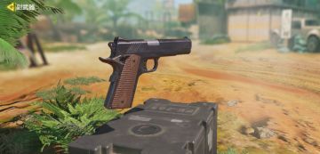 【枪械作战手册】高手进阶，教你玩转MW11！