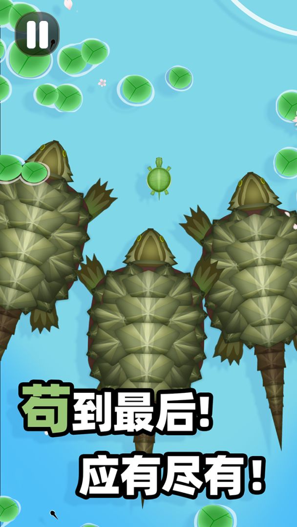 合成大锦鲤游戏截图