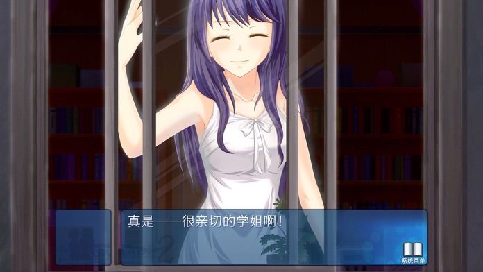 叙事曲2：星空下的诺言游戏截图