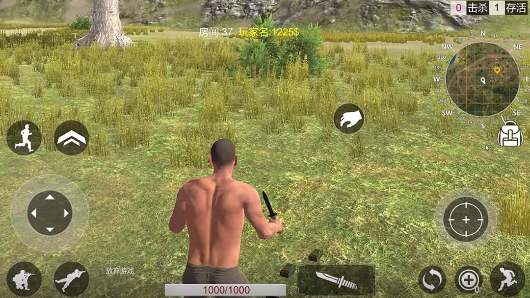 荒芜之地游戏截图