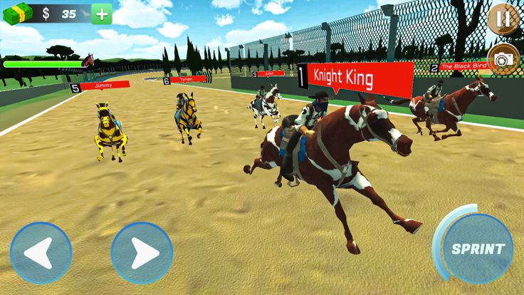 Horse Racing Game Horse Derby游戏截图